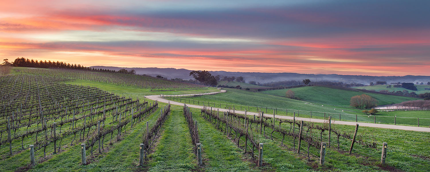 Adelaide Hills Wine