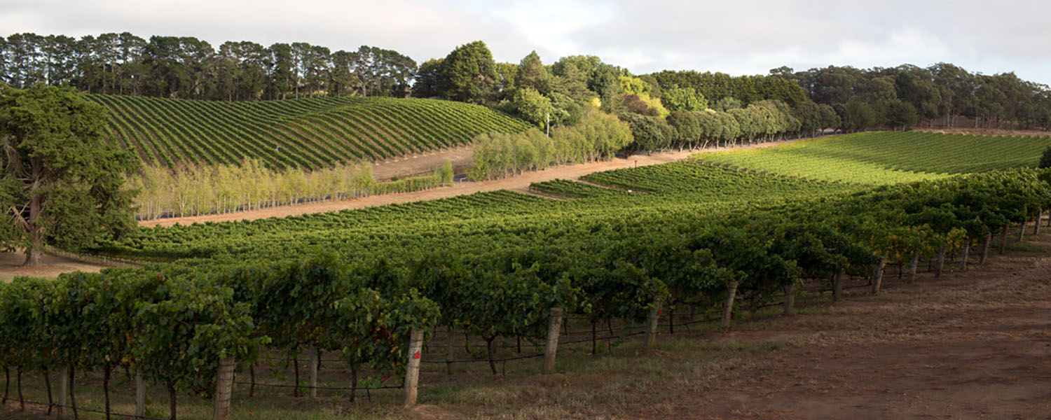 Adelaide Hills Wine South Australia.